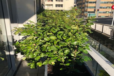 Photo of property in Montreaux, 164 The Terrace, Wellington Central, Wellington, 6011