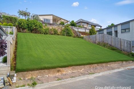 Photo of property in 19 Hyforce Way, Bethlehem, Tauranga, 3110