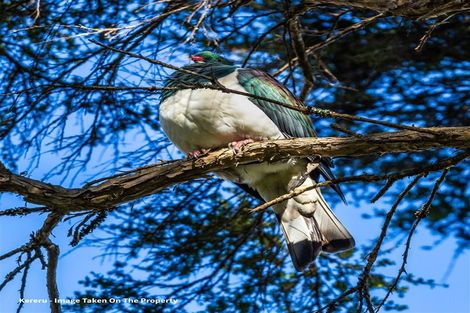 Photo of property in 25 Mill Road, Waitahanui, Taupo, 3378