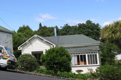 Photo of property in 10 Alexander Street, Kingsland, Auckland, 1021