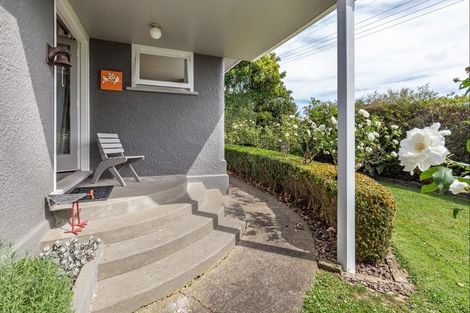 Photo of property in 51 Laward Road, Shannon, Palmerston North, 4474