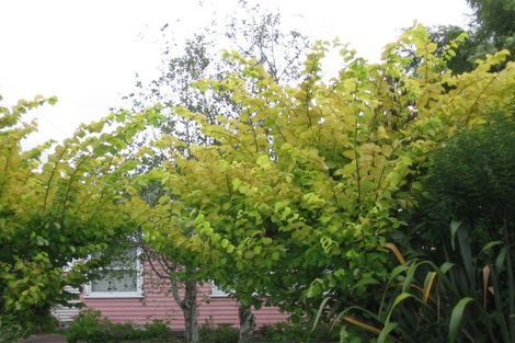 Photo of property in 28 Laurel Street, Mount Albert, Auckland, 1025