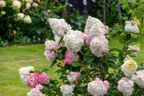 Photo of property in 20 Whatman Avenue, Masterton, 5810