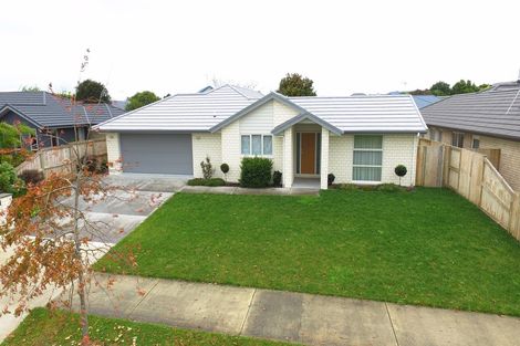 Photo of property in 49 Cumberland Drive, Flagstaff, Hamilton, 3210