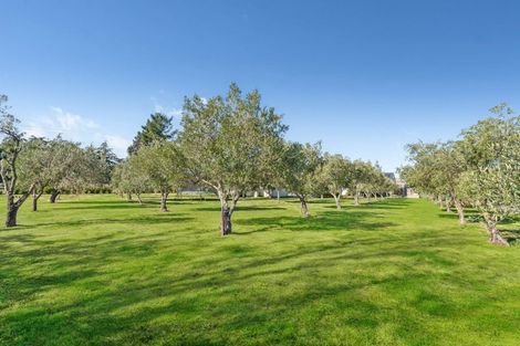 Photo of property in 3/104 White Rock Road, Martinborough, 5781