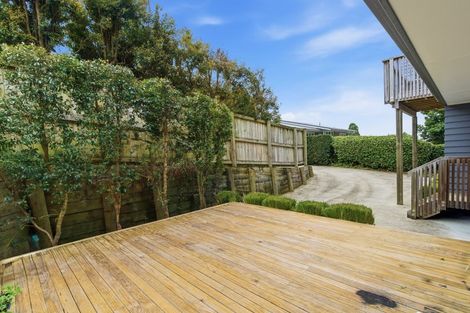 Photo of property in 24b Harrier Street, Parkvale, Tauranga, 3112