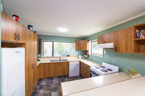 Photo of property in 119a Maxwells Line, Awapuni, Palmerston North, 4412