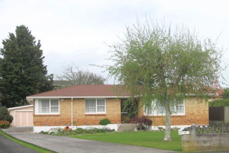 Photo of property in 17 Cobham Drive, Morrinsville, 3300