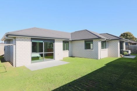 Photo of property in 17 Ladeira Place, Fitzroy, Hamilton, 3206