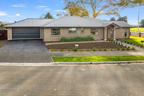 Photo of property in 133 Spalling Road, Halswell, Christchurch, 8025