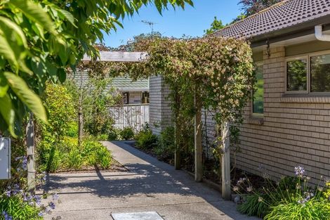Photo of property in 23b Totara Street, Lansdowne, Masterton, 5810