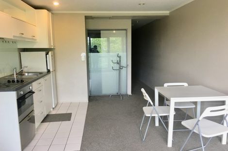 Photo of property in 53 Cook Street, Hamilton East, Hamilton, 3216