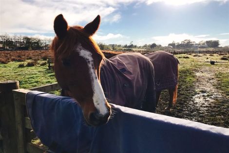 Photo of property in 1 Blackbridge Road, Wadestown, Wellington, 6012