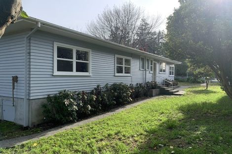 Photo of property in 41 Bond Street, Marton, 4710