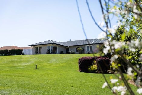 Photo of property in 30c Park Road, Katikati, 3129