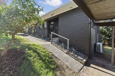 Photo of property in 32a Kowhai Street, Hamilton Lake, Hamilton, 3204