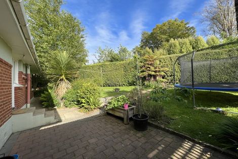 Photo of property in 12 Cohen Place, Wakari, Dunedin, 9010