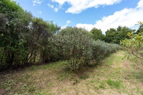 Photo of property in 3687 State Highway 12, Taheke, Kaikohe, 0473