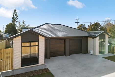 Photo of property in 17 Fend Street, Chartwell, Hamilton, 3210