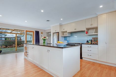 Photo of property in 49 Knowles Street, Terrace End, Palmerston North, 4410