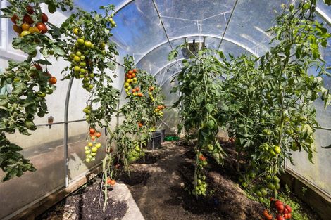 Photo of property in 78 Oxley Crescent, Broad Bay, Dunedin, 9014