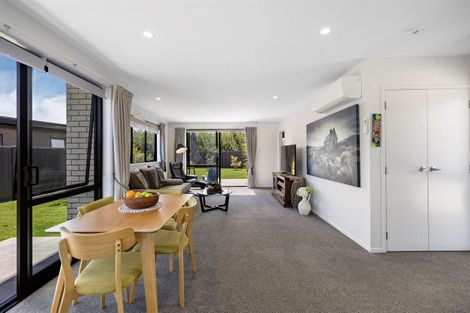 Photo of property in 17 Guano Crescent, Cromwell, 9310