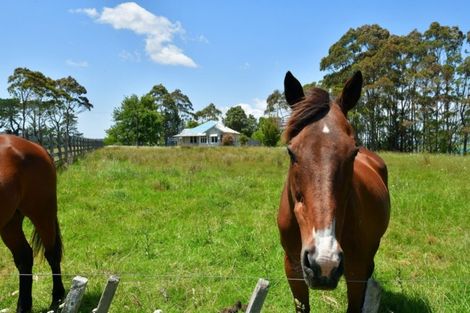 Photo of property in 123 Gatfield Road, Kaukapakapa, 0873