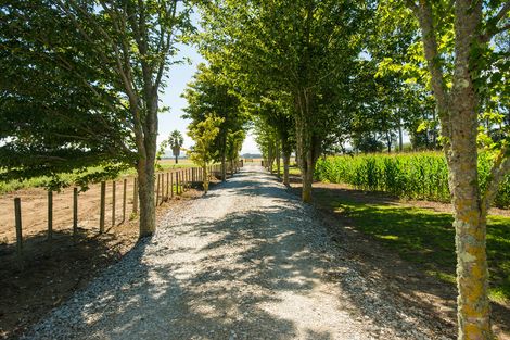 Photo of property in 254 King Road, Makauri, Gisborne, 4071