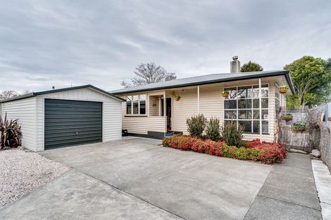 Photo of property in 143 Nuffield Avenue, Marewa, Napier, 4110