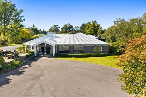 Photo of property in 40 Keenans Road, Newland, Ashburton, 7772