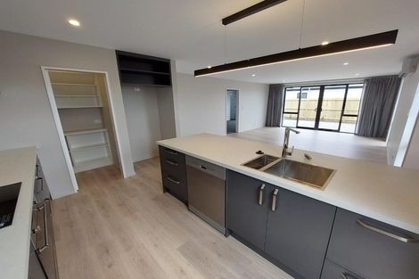 Photo of property in 23 Sarah Nicholls Street, Belfast, Christchurch, 8051