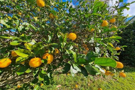 Photo of property in 135 Lillis Lane, Coromandel, 3506