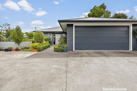 Photo of property in 50 Brooklyn Road, Carterton, 5713