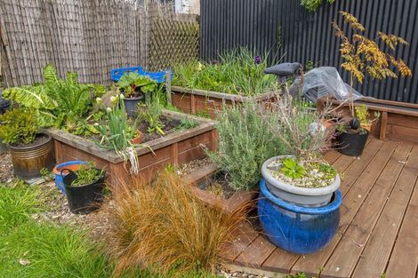 Photo of property in 31 Carlisle Street, Levin, 5510