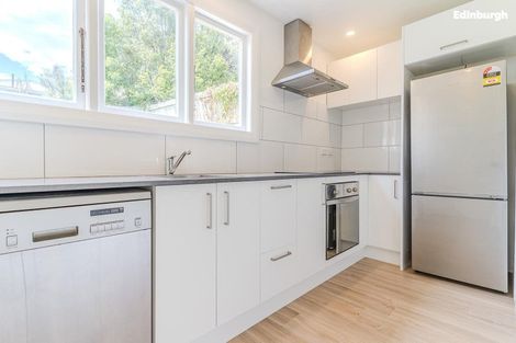 Photo of property in 51 Mechanic Street, North East Valley, Dunedin, 9010