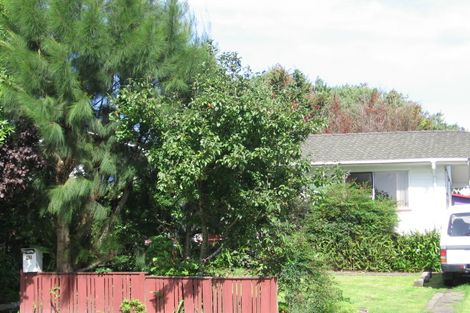 Photo of property in 41 Larissa Avenue, Henderson, Auckland, 0610