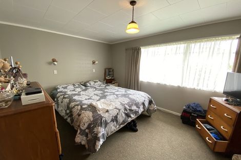 Photo of property in 224 Albert Street, Hokowhitu, Palmerston North, 4410