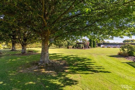 Photo of property in 231 Belvedere Road, Carterton, 5713