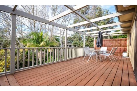 Photo of property in 61 Landing Road, Kerikeri, 0230