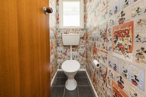 Photo of property in 95 Winchester Street, Ashhurst, 4810