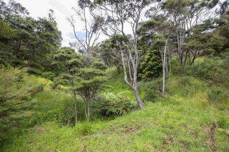 Photo of property in 158 Kereru Lane, Kaiwaka, 0573