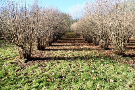 Photo of property in 191 Cormacks-kia Ora Road, Cormacks, Oamaru, 9495