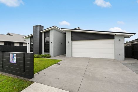 Photo of property in 224 Cumberland Drive, Flagstaff, Hamilton, 3210