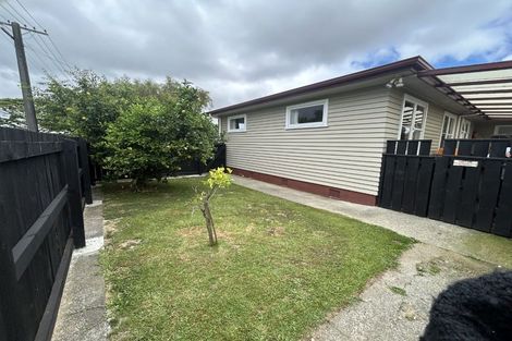 Photo of property in 50 Graham Street, Levin, 5510
