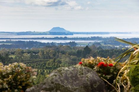 Photo of property in 413b Busby Road, Tahawai, Katikati, 3170