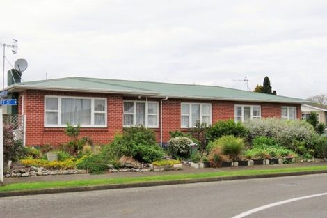 Photo of property in 12 Cardiff Street, Levin, 5510