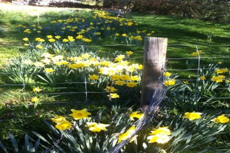 Photo of property in 44 Early Valley Road, Lansdowne, Christchurch, 7672