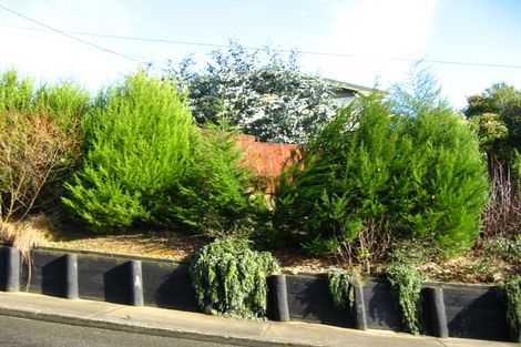 Photo of property in 29 Boyne Street, Bluff, 9814