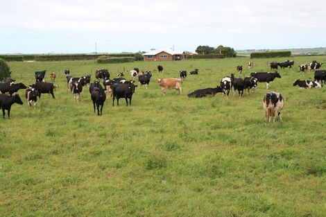 Photo of property in 186 Austin Road, Dairy Flat, Albany, 0794