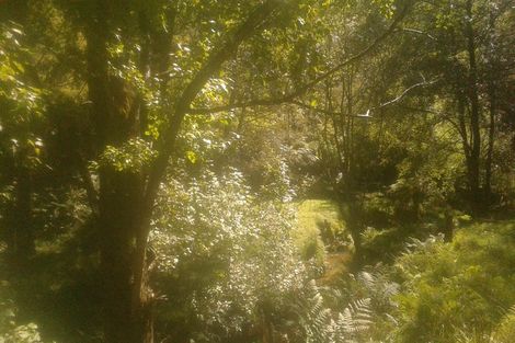 Photo of property in 116 Tauwharenikau Road, Tututawa, Stratford, 4392